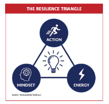 resilience triangle